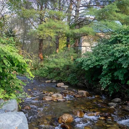 Adventurer'S Home By Kingdom Trails And Burke Mtn